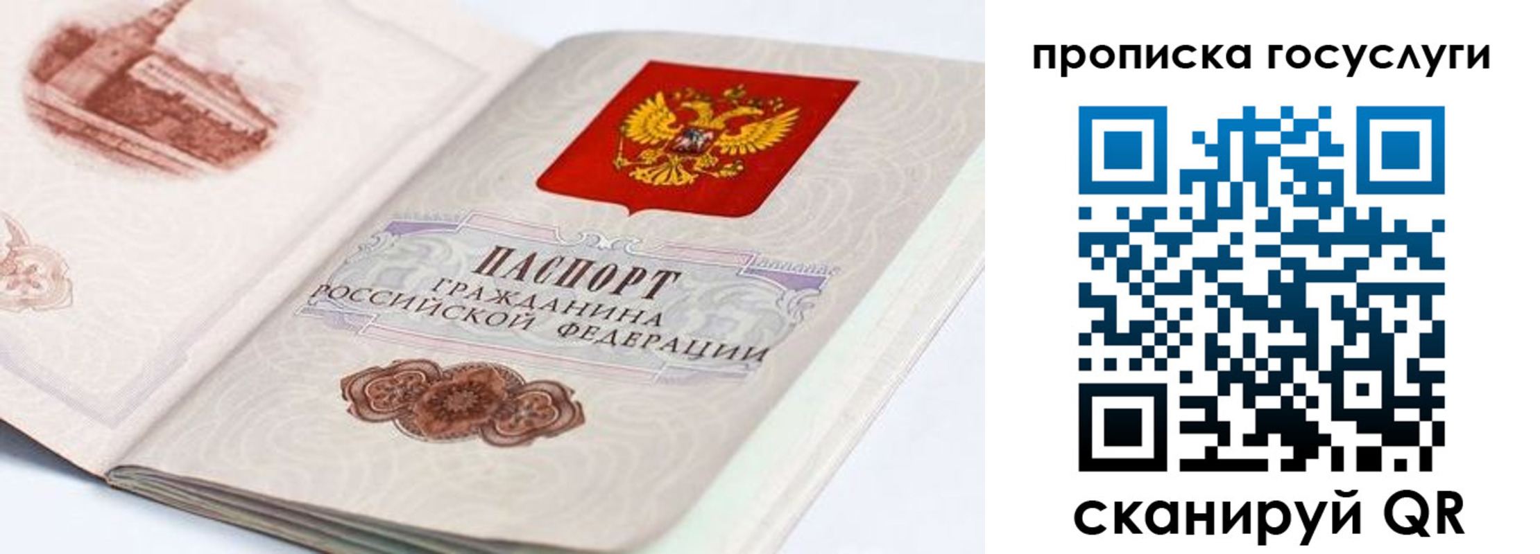 прописка гарантия в Козловке